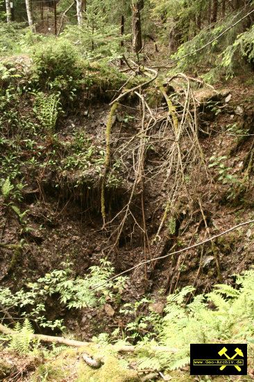 SDAG Wismut Schurf 8 nahe Schacht 126 im Revier Johanngeorgenstadt, Erzgebirge, Sachsen - 21. Mai 2009 (3).jpg